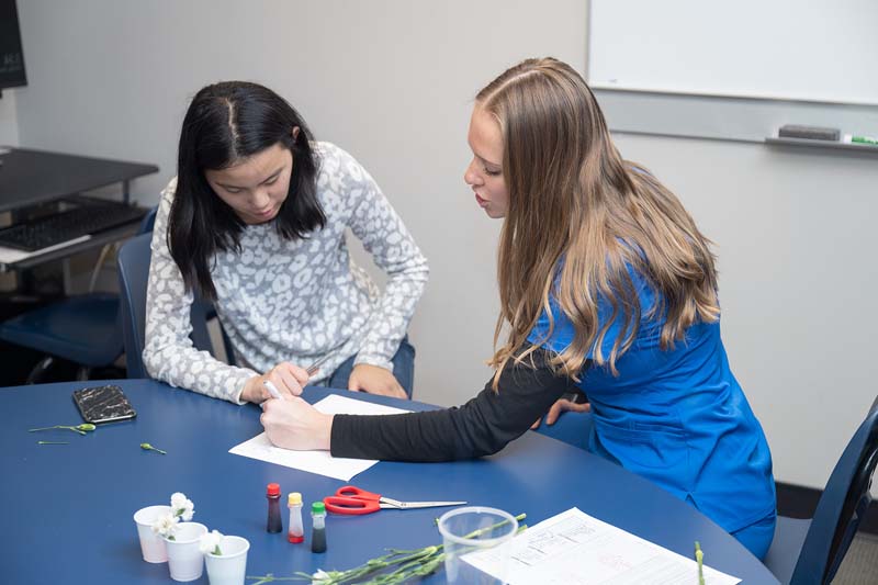 A MTSU Speech-Language, Pathology and Audiology student helps a patient in the on-campus clinic